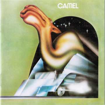Camel